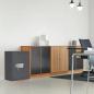 Preview: Rottner Kurzwaffentresor EN-1 KWT- 65 IT Doppelbartschloss schwarz S00359